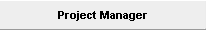 Project Manager